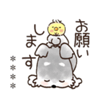 名前が入る★愛犬♡シュナウザーの気づかい（個別スタンプ：17）