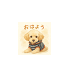 トイプーメルちゃん（個別スタンプ：1）