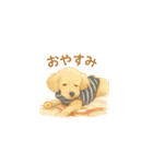 トイプーメルちゃん（個別スタンプ：4）