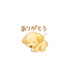 トイプーメルちゃん（個別スタンプ：5）