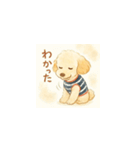 トイプーメルちゃん（個別スタンプ：7）