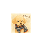トイプーメルちゃん（個別スタンプ：14）