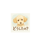トイプーメルちゃん（個別スタンプ：22）