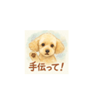 トイプーメルちゃん（個別スタンプ：24）