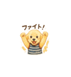 トイプーメルちゃん（個別スタンプ：36）