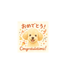 トイプーメルちゃん（個別スタンプ：37）