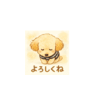 トイプーメルちゃん（個別スタンプ：40）