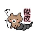ねこねこの住み家ハナときどきミル（個別スタンプ：8）