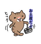 ねこねこの住み家ハナときどきミル（個別スタンプ：11）