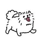 ふかふかサモエド（個別スタンプ：9）