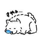ふかふかサモエド（個別スタンプ：12）