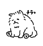 ふかふかサモエド（個別スタンプ：19）