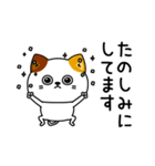 ねこ依存敬語毒あり（個別スタンプ：12）