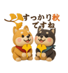 【秋冬】ふわもこ柴犬の気持ち便（個別スタンプ：20）