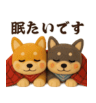 【秋冬】ふわもこ柴犬の気持ち便（個別スタンプ：21）