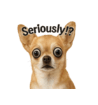 犬犬犬犬犬犬わんわん（個別スタンプ：6）