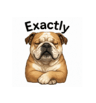 犬犬犬犬犬犬わんわん（個別スタンプ：7）