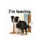 犬犬犬犬犬犬わんわん（個別スタンプ：11）