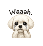 犬犬犬犬犬犬わんわん（個別スタンプ：14）
