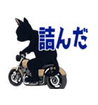 バイク猫くろ（個別スタンプ：2）
