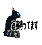 バイク猫くろ（個別スタンプ：6）