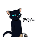 バイク猫くろ（個別スタンプ：9）