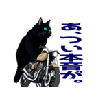 バイク猫くろ（個別スタンプ：11）