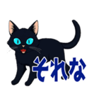 バイク猫くろ（個別スタンプ：12）