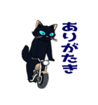 バイク猫くろ（個別スタンプ：13）