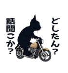 バイク猫くろ（個別スタンプ：16）