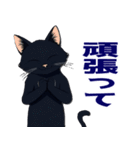バイク猫くろ（個別スタンプ：18）