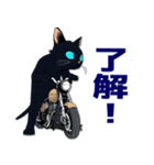 バイク猫くろ（個別スタンプ：21）