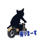バイク猫くろ（個別スタンプ：23）
