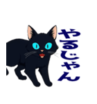 バイク猫くろ（個別スタンプ：29）
