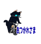バイク猫くろ（個別スタンプ：36）