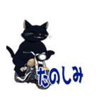 バイク猫くろ（個別スタンプ：39）