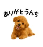 犬うんこ【トイプードル】（個別スタンプ：4）