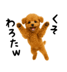犬うんこ【トイプードル】（個別スタンプ：8）