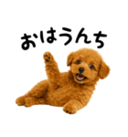 犬うんこ【トイプードル】（個別スタンプ：9）