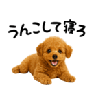 犬うんこ【トイプードル】（個別スタンプ：11）