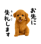 犬うんこ【トイプードル】（個別スタンプ：17）