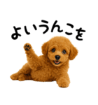 犬うんこ【トイプードル】（個別スタンプ：18）