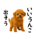 犬うんこ【トイプードル】（個別スタンプ：21）