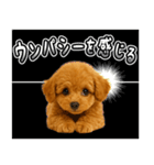 犬うんこ【トイプードル】（個別スタンプ：22）