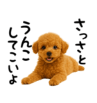 犬うんこ【トイプードル】（個別スタンプ：26）
