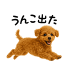 犬うんこ【トイプードル】（個別スタンプ：28）
