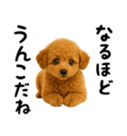 犬うんこ【トイプードル】（個別スタンプ：33）