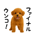 犬うんこ【トイプードル】（個別スタンプ：38）