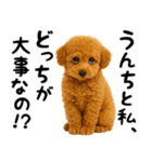 犬うんこ【トイプードル】（個別スタンプ：39）