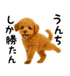 犬うんこ【トイプードル】（個別スタンプ：40）